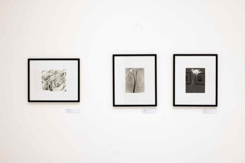 Ausstellungsansicht, Tina Modotti. Denn die Flamme stirbt nicht: Liebe, Leidenschaft und Revolution, BLMK Cottbus, 2023, Foto: Marlies Kross
