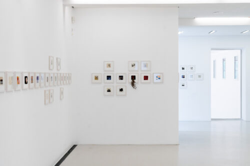 Ausstellungsansicht, Von Cottbus über Lüneburg bis Osaka. Eine Kunstaktion von Matthias Körner, BLMK Cottbus, 2024, Foto: Bernd Schönberger