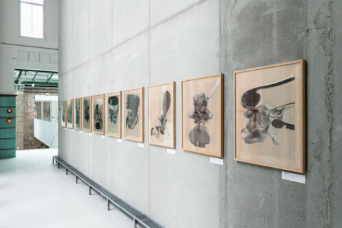 Ausstellungsansicht, Ludwig Rauch, Kubiak & Rauch. Von wundersamen Wesen und Landschaften, BLMK Cottbus, 2024, Foto: Bernd Schönberger
