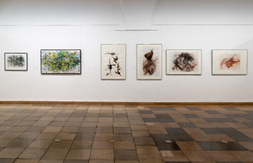 Ausstellungsansicht, Sezessionistinnen aus Dresden. Ein Anfang voller Hoffnung, BLMK Frankfurt (Oder), 2024, Foto: Bernd Schönberger