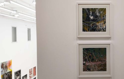 Anett Münnich, Blickwinkel Blatt 03 und 12, Mehrfarbsiebdruck mit Papierschnitt, Ausstellungsansicht, Druckköpfe Part 01. Eine Ausstellung zum Tag der Druckkunst, BLMK Cottbus, 2025