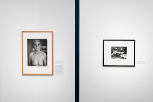 Ausstellungsansicht, Unbeschreiblich weiblich. Frauenbilder in der DDR, BLMK Cottbus, 2025, Foto: Bernd Schönberger