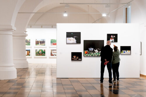 Ausstellungsansicht, Schrebergärten. Streifzüge durch einen Mikrokosmos, BLMK Frankfurt (Oder), 2025, Foto: Bernd Schönberger