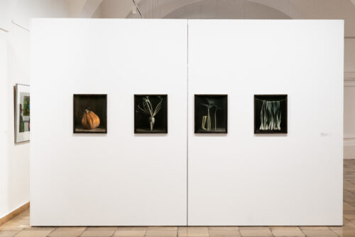 Ausstellungsansicht, Schrebergärten. Streifzüge durch einen Mikrokosmos, BLMK Frankfurt (Oder), 2025, Foto: Bernd Schönberger