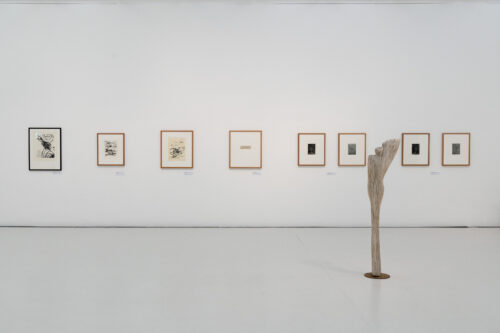 Ausstellungsansicht, Über Schatten Springen. Die Tänzerin Fine Kwiatkowski, BLMK Cottbus, 2025, Foto: Bernd Schönberger