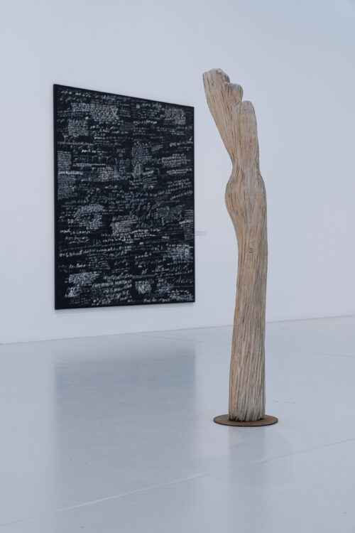 Ausstellungsansicht, Über Schatten Springen. Die Tänzerin Fine Kwiatkowski, BLMK Cottbus, 2025, Foto: Bernd Schönberger