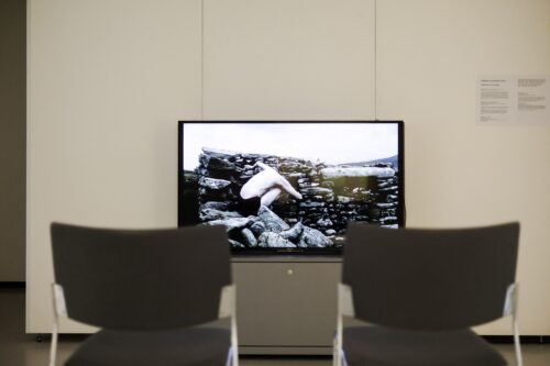 Ausstellungsansicht, Über Schatten Springen. Die Tänzerin Fine Kwiatkowski, BLMK Cottbus, 2025, Foto: Florian Bröcker