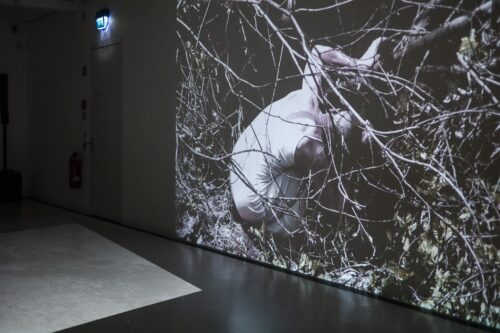 Ausstellungsansicht, Über Schatten Springen. Die Tänzerin Fine Kwiatkowski, BLMK Cottbus, 2025, Foto: Florian Bröcker